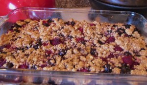 blueberry raspberry bars 002