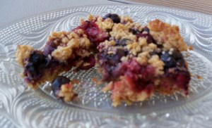 blueberry raspberry bars 003