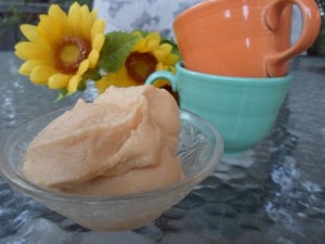 ice cream nate and titus 019