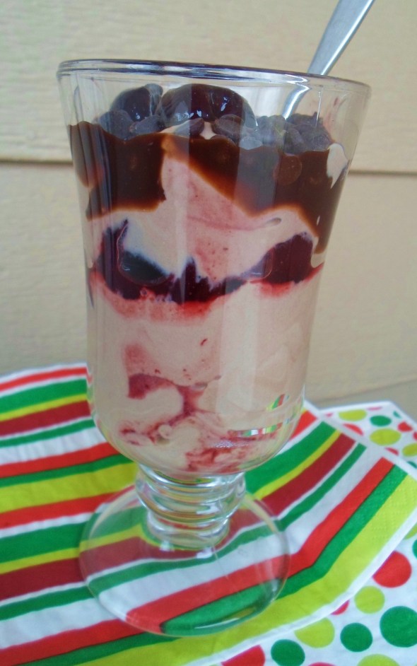 yogurt chocolate 013