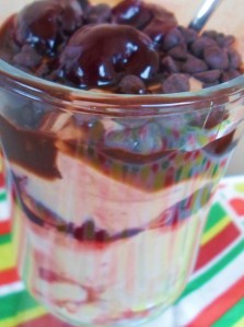 yogurt chocolate 015