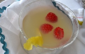 lemon drop martini raspberries and red pepper spicy hummus 018