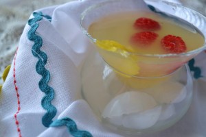 lemon drop martini raspberries and red pepper spicy hummus 024