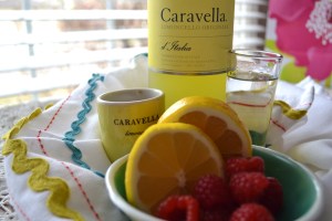 lemon drop martini raspberries and red pepper spicy hummus 027