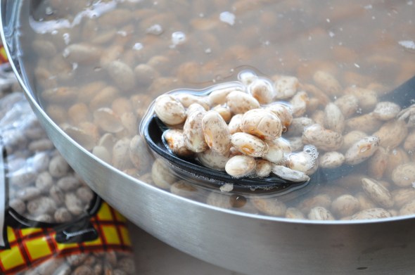 Beans after they've soaked overnight. Looking pretty and plump. 