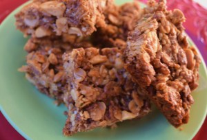crunchy energy bars 003