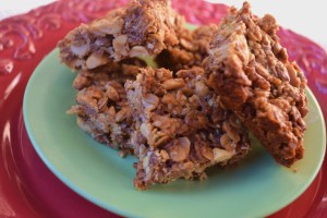 crunchy energy bars 004