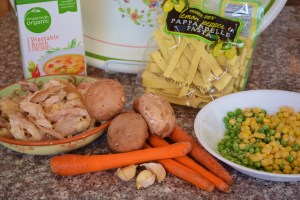 chicken noodle soup 002