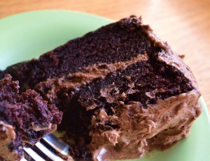 tulips and choc cake 005